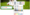 Microsoft Word Box Color Change