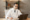 5 best billing software tools for doctors