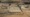 Photo of the Central Coast Polo Club
